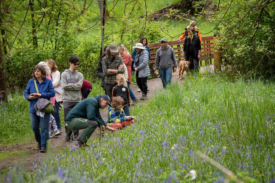 Cozine Creek tour