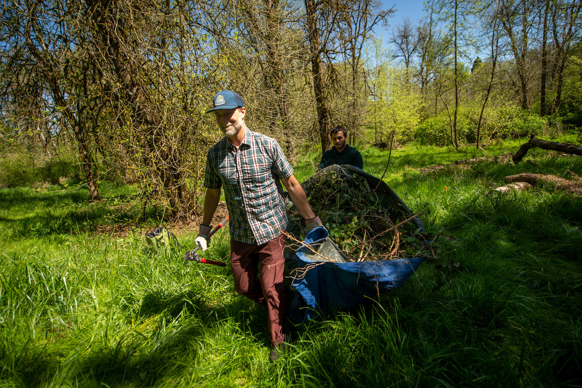 Linfield community members work in the Cozine Creek area