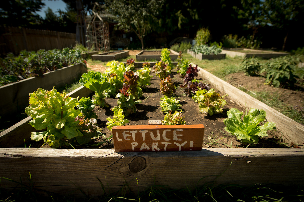 Linfield Garden