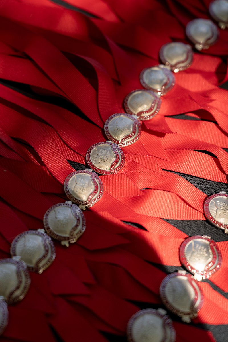 a row of the nursing pinning stoles