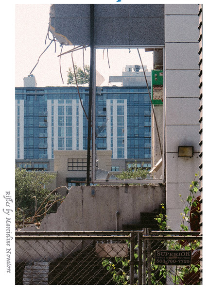 Photograph of a deteriorating building, titled "Rifles" by Marcieline Novatore.