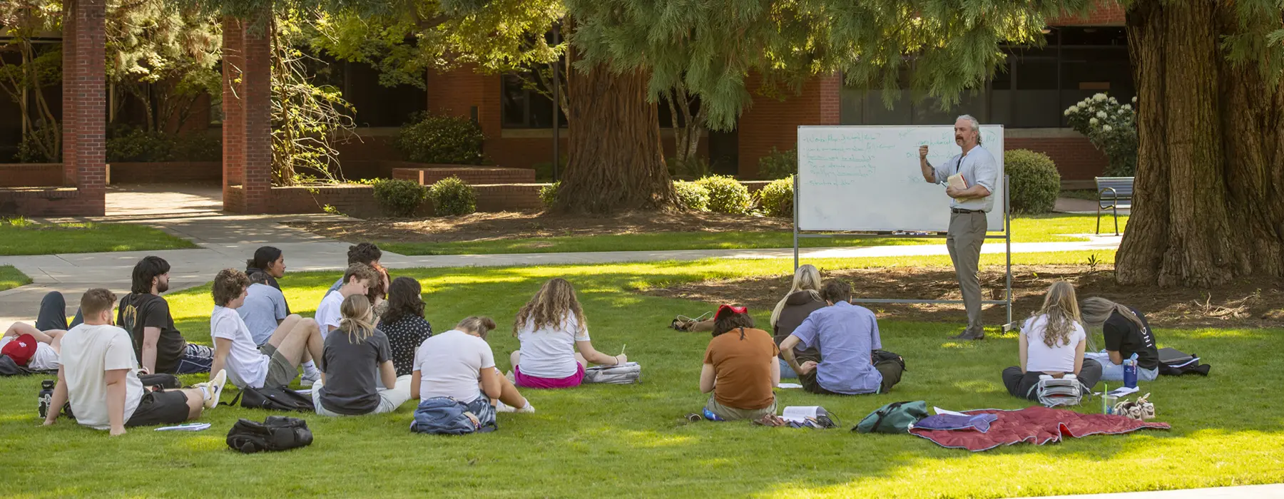 students sitting on the grass listening to a professor.