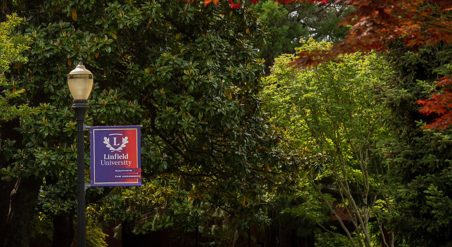 Linfield University banner on a light post.